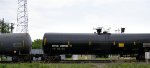 CTCX 731436